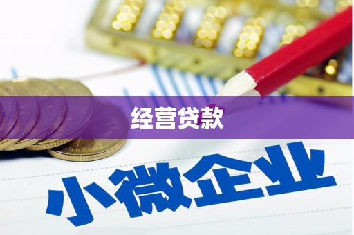 松溪经营贷款