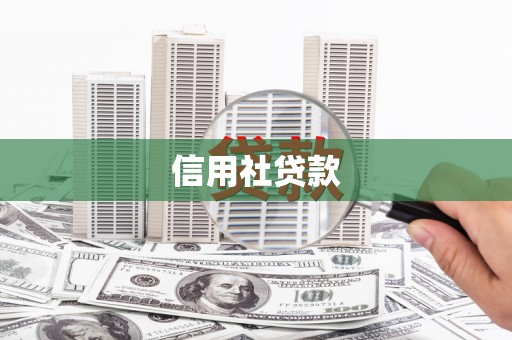 松溪信用社贷款