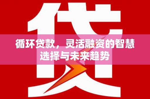 松溪循环贷款，灵活融资的智慧选择与未来趋势