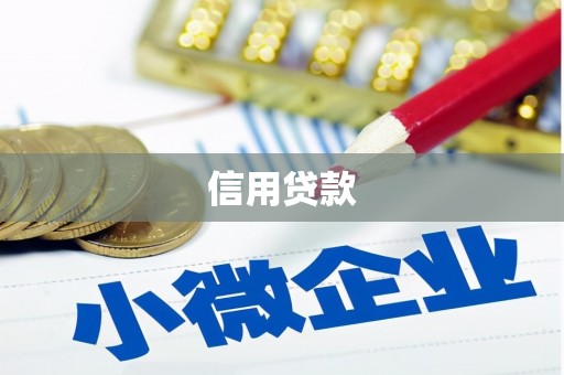 松溪信用贷款
