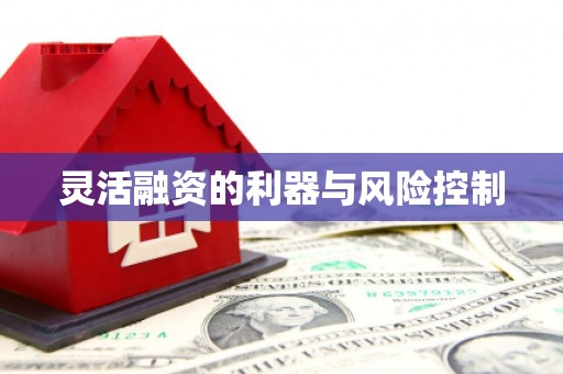 松溪灵活融资的利器与风险控制