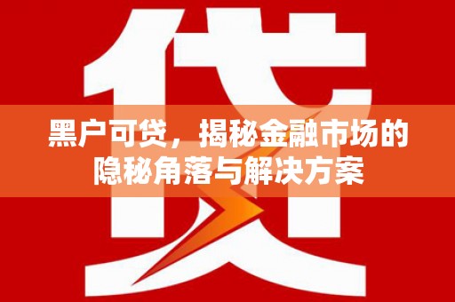 松溪黑户可贷，揭秘金融市场的隐秘角落与解决方案