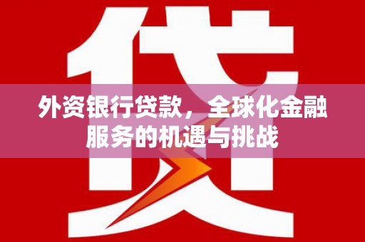 松溪外资银行贷款，全球化金融服务的机遇与挑战
