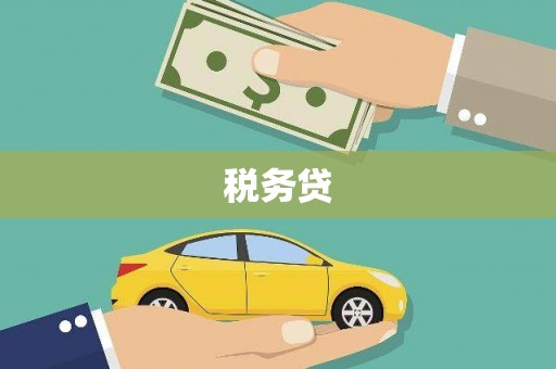 松溪税务贷