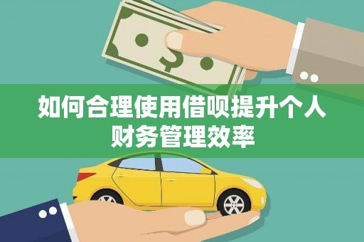 松溪如何合理使用借呗提升个人财务管理效率