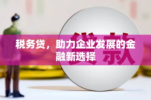 松溪税务贷，助力企业发展的金融新选择