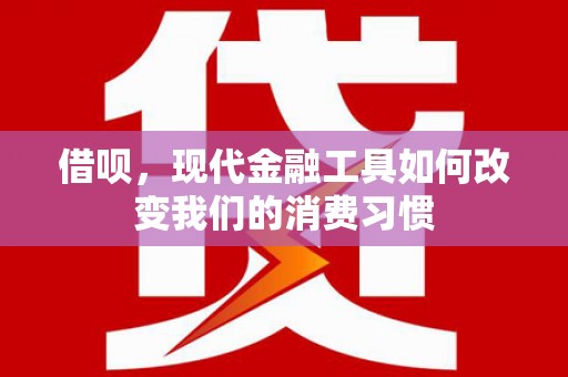 松溪借呗，现代金融工具如何改变我们的消费习惯