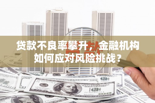 松溪贷款不良率攀升，金融机构如何应对风险挑战？