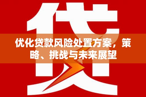 松溪优化贷款风险处置方案，策略、挑战与未来展望