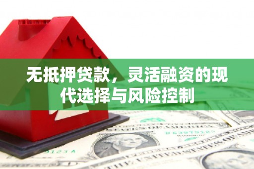 松溪无抵押贷款，灵活融资的现代选择与风险控制