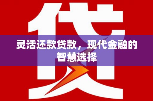 松溪灵活还款贷款，现代金融的智慧选择