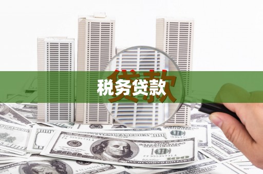 松溪税务贷款