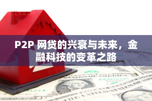 松溪P2P 网贷的兴衰与未来，金融科技的变革之路