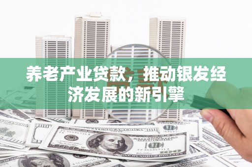 松溪养老产业贷款，推动银发经济发展的新引擎