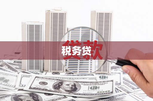 松溪税务贷