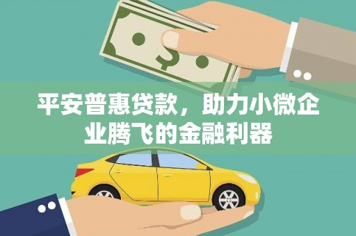 松溪平安普惠贷款，助力小微企业腾飞的金融利器
