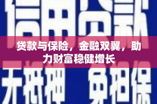 松溪贷款与保险，金融双翼，助力财富稳健增长