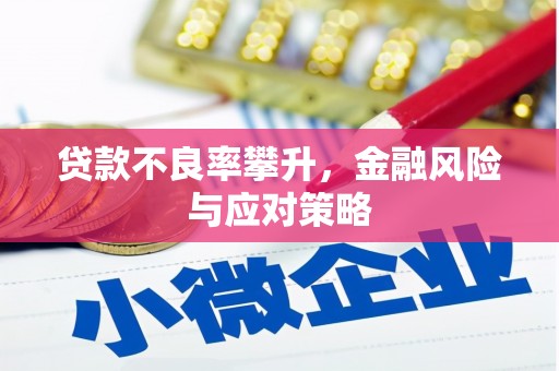 松溪贷款不良率攀升，金融风险与应对策略