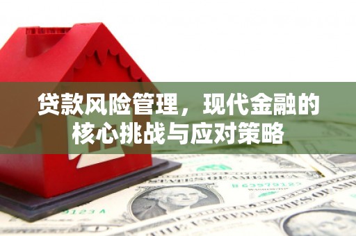 松溪贷款风险管理，现代金融的核心挑战与应对策略
