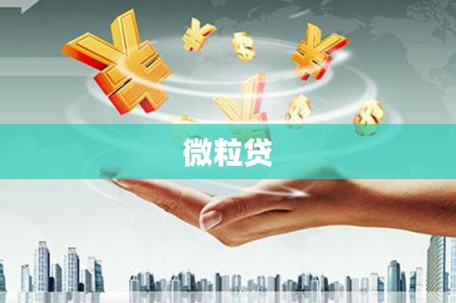 松溪微粒贷
