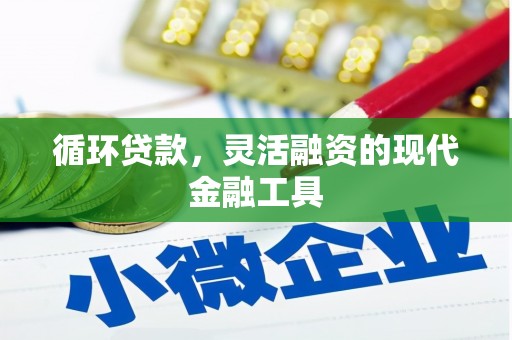 松溪循环贷款，灵活融资的现代金融工具