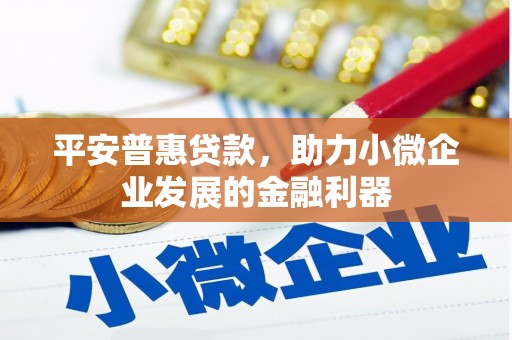 松溪平安普惠贷款，助力小微企业发展的金融利器