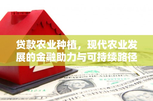 松溪贷款农业种植，现代农业发展的金融助力与可持续路径