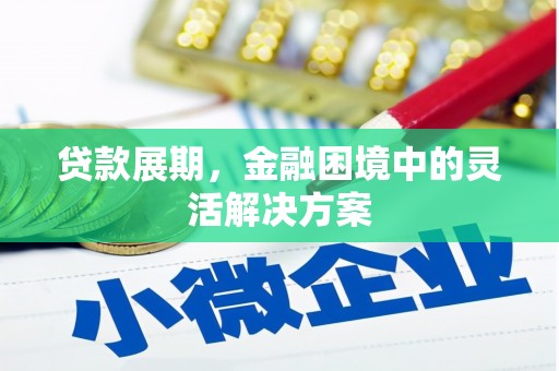 松溪贷款展期，金融困境中的灵活解决方案