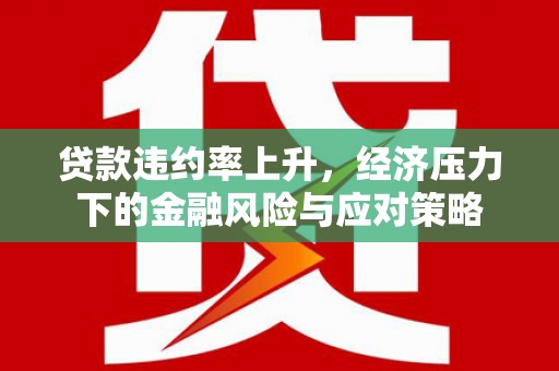 松溪贷款违约率上升，经济压力下的金融风险与应对策略