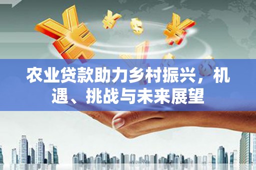 松溪农业贷款助力乡村振兴，机遇、挑战与未来展望