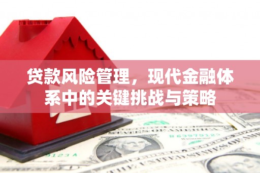 松溪贷款风险管理，现代金融体系中的关键挑战与策略