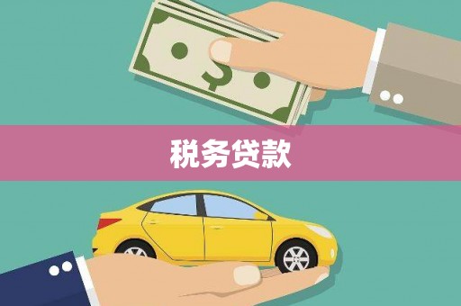 松溪税务贷款