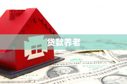 松溪贷款养老