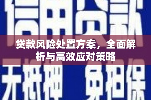松溪贷款风险处置方案，全面解析与高效应对策略