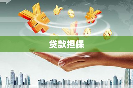 松溪贷款担保