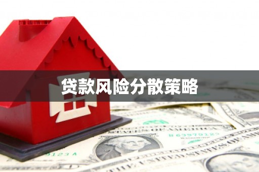 松溪贷款风险分散策略