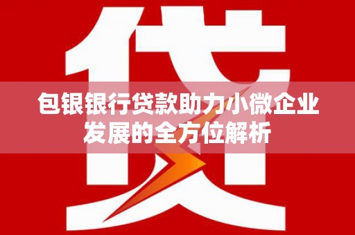 松溪包银银行贷款助力小微企业发展的全方位解析