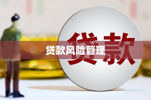 松溪贷款风险管理