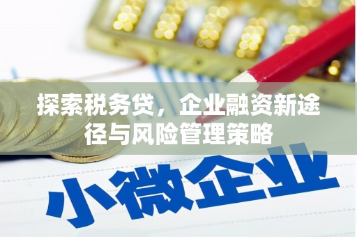 松溪探索税务贷，企业融资新途径与风险管理策略