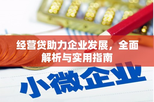 松溪经营贷助力企业发展，全面解析与实用指南