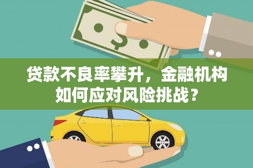 松溪贷款不良率攀升，金融机构如何应对风险挑战？