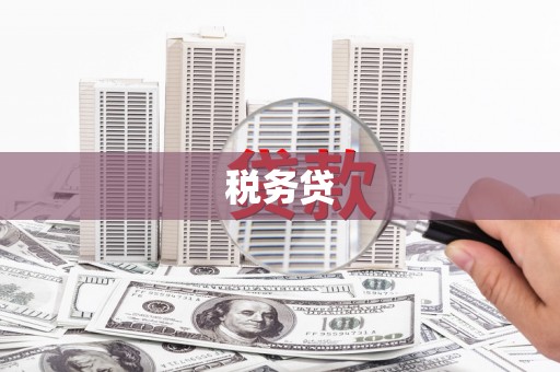 松溪税务贷