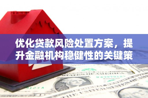 松溪优化贷款风险处置方案，提升金融机构稳健性的关键策略