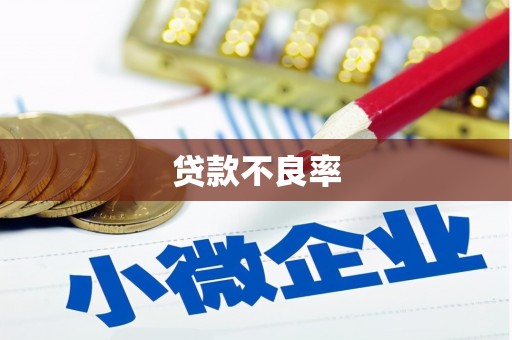 松溪贷款不良率