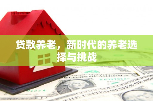 松溪贷款养老，新时代的养老选择与挑战