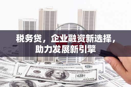 松溪税务贷，企业融资新选择，助力发展新引擎