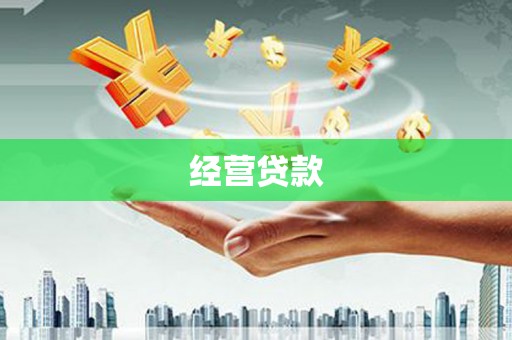 松溪经营贷款