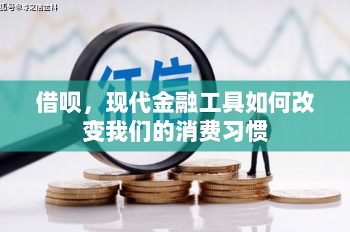 松溪借呗，现代金融工具如何改变我们的消费习惯
