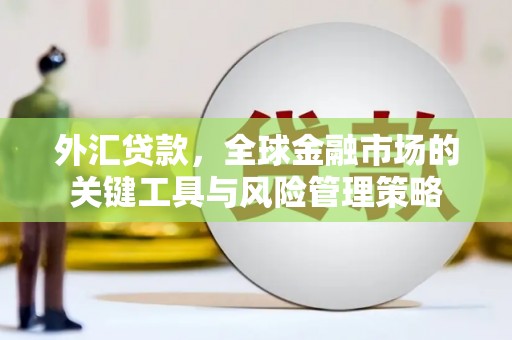 松溪外汇贷款，全球金融市场的关键工具与风险管理策略