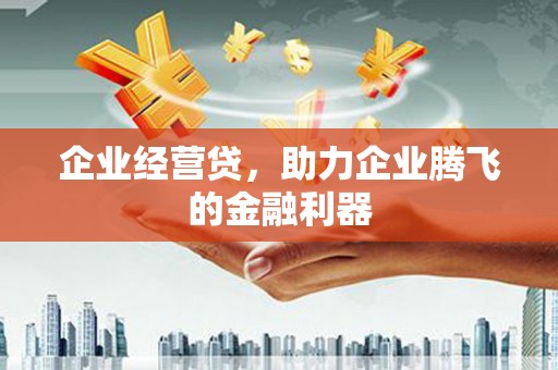 松溪企业经营贷，助力企业腾飞的金融利器
